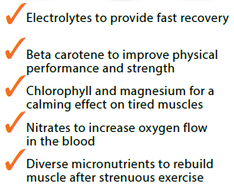 Garden Trio Exercise