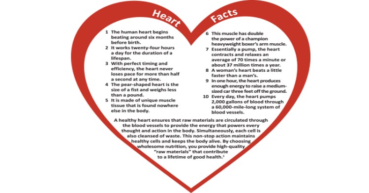 HeartFactsChart